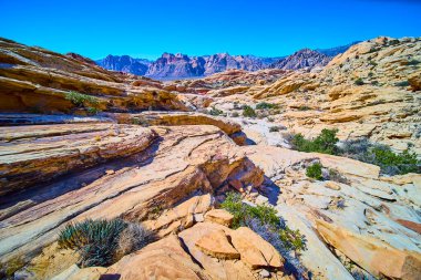 Las Vegas 'taki Red Rock Kanyonu' nun çarpıcı çöl manzarasını keşfedin. Görkemli katmanlı kaya oluşumları ve seyrek yeşillik açık mavi gökyüzüne çarpıcı bir kontrast oluşturur..