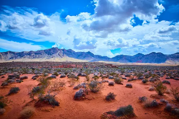 Nevada Moapa Vadisi 'ndeki Ateş Vadisi' nin dehşetini yaşayın. Kızıl kumlar ve engebeli dağlar parlak mavi gökyüzünün altında çarpıcı bir çöl manzarası yaratır. Yalnızlık teması için mükemmel.