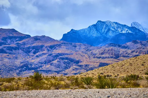 Arkaplanda Charleston Dağı olan Nevada 'nın engin çöl manzarasını keşfedin. Karla kaplı zirveler ve dayanıklı bitki örtüsü macera ve seyahat için mükemmel bir manzara yaratır..