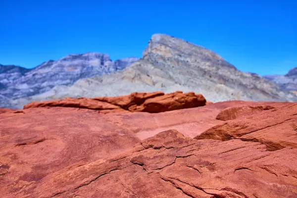 Las Vegas yakınlarındaki Red Rock Kanyonu 'nda açık mavi bir gökyüzü altında canlı kırmızı kaya oluşumlarını keşfedin. Bu çarpıcı çöl manzarası maceracılar ve doğa meraklıları için mükemmeldir..