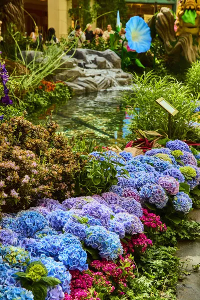 Las Vegas 'taki Bellagio Gardens' ta canlı bir bahçe vitrininde, yemyeşil bir yeşillik ve sakin bir gölet ile çevrili kaprisli mavi ve lavanta renkli ortancalar sergileniyor..