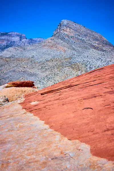 Kızıl Kaya Kanyonu 'nun parlak kırmızı kumtaşını keşfedin. Las Vegas yakınlarındaki parlak mavi gökyüzünün altında engebeli Kaplumbağa Tepesi' ne karşı. Çöl macerasının özünü yakalamak için mükemmel..