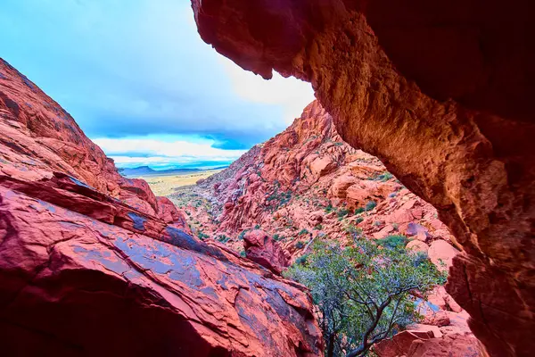 Las Vegas yakınlarındaki Red Rock Kanyonu 'nun nefes kesici güzelliğini keşfedin. İkonik kemerleri ve canlı renkleriyle bu canlı çöl manzarası doğanın kalbine macera ve sükuneti davet ediyor..