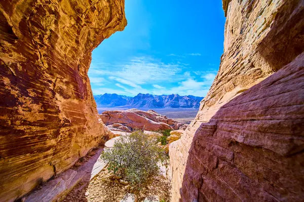 Las Vegas yakınlarındaki Red Rock Kanyonu 'nun engebeli güzelliğini keşfedin. Parlak mavi gökyüzü altındaki görkemli kayalıklar ve geniş manzaralarla çerçevelenmiş bu çarpıcı çöl manzarasında esnek bir çalılık gelişir..