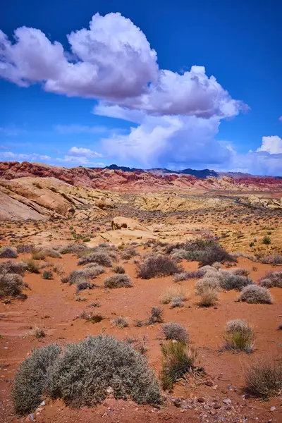 Moapa Vadisi 'nin sonsuz güzelliğinin tadını çıkarın. Uçsuz bucaksız mavi gökyüzü altında kaya oluşumlarına çarpıp Nevadas Ateş Vadisi' nin canlı renklerini ve engebeli arazisini ele geçirin. Doğanın özünü keşfedin..