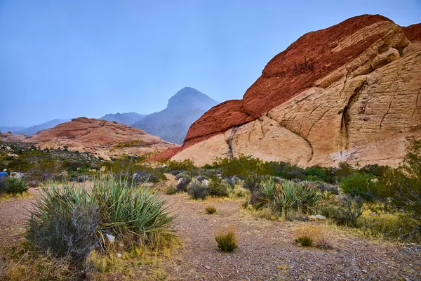 Las Vegas, Nevada yakınlarındaki çarpıcı Red Rock Kanyonunu keşfedin. Görkemli kumtaşı oluşumlarına hayret edin ve çöl bitkilerinin arasında, Kaplumbağa Kafa Tepesi 'nin huzur dolu güzelliğini tecrübe edin..