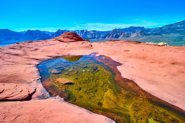Nevada 'daki Red Rock Kanyonu' nun huzur veren güzelliğini keşfedin. Sakin bir havuz, engin mavi gökyüzünü yansıtır. Kırmızımsı bir kumtaşına yerleşmiş, engebeli dağlar bu çöl manzarasını tamamlar..