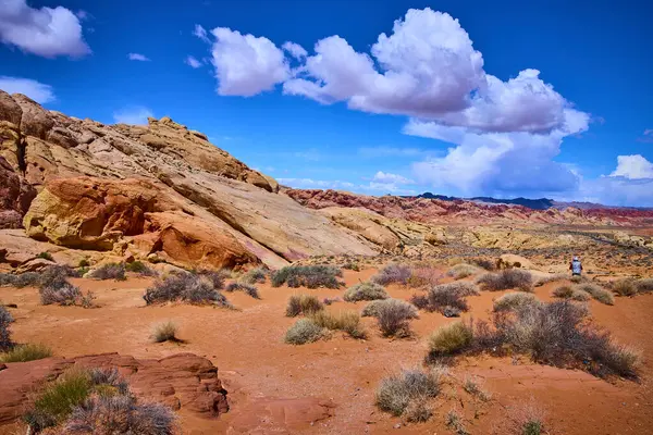 Nevada Moapa Vadisi 'ndeki çarpıcı Ateş Vadisi' ni keşfedin. Canlı kaya oluşumlarının engin mavi gökyüzü ile buluştuğu yeri. Yalnız bir maceracı, çöl manzarasının saf güzelliğini ve enginliğini yakalar..