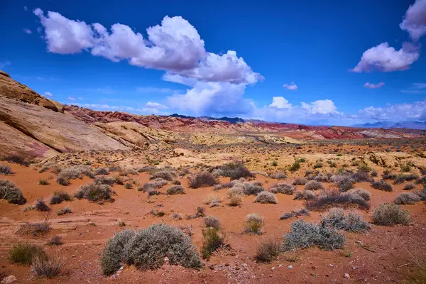 Nevadas Ateş Vadisi 'nin canlı renklerini ve engebeli cazibesini keşfedin. Bu nefes kesici çöl manzarası doğaya, zamansız güzelliğe ve sonsuzluğa huzurlu bir kaçış sunuyor. Seyahat için ideal.
