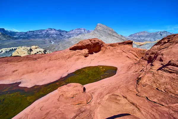 Las Vegas yakınlarındaki Red Rock Kanyonu 'nun dingin güzelliğini keşfedin. Çarpıcı kırmızı kumtaşı oluşumlarına ve berrak mavi gökyüzünün altında sakin su havuzlarına hayret edin. Doğa aşıkları ve maceracılar için mükemmel.