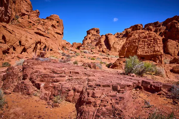 Nevada, Ateş Vadisi 'nin canlı kırmızı kaya oluşumları, derin mavi gökyüzünün aksine. Bu ikonik Amerikan Güneybatı Çölü manzarasının engebeli güzelliğini ve yalnızlığını tecrübe edin..