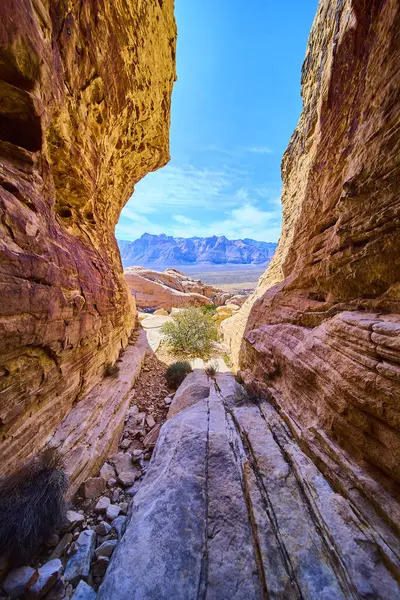 Las Vegas Nevada yakınlarındaki Red Rock Kanyonu 'nun dingin güzelliğini keşfedin. Canlı kaya oluşumları ve geniş çöl manzaraları macera yolculuğu ve doğa meraklıları için mükemmel..