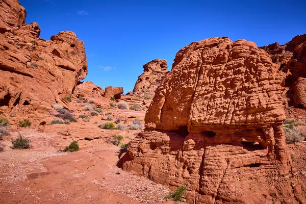 Nevada, Moapa Vadisi 'ndeki Ateş Vadisi' nde açık mavi gökyüzü altında nefes kesici kızıl kaya oluşumlarını keşfedin. Bu ikonik çöl manzarasının doğal güzelliğini ve sükunetini keşfedin..