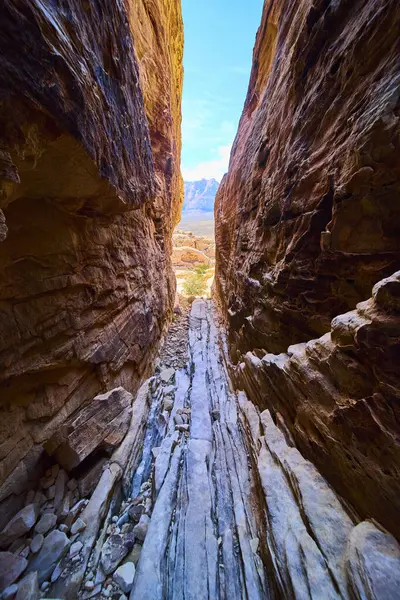 Las Vegas 'taki Red Rock Kanyonu' nun nefes kesici güzelliğini keşfedin. Çarpıcı dar geçitlerde dolaşın ve berrak bir çöl göğünün altındaki canlı kaya oluşumlarına hayret edin. Macera için mükemmel.