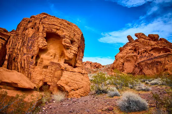 Görkemli kırmızı kumtaşı oluşumları Nevada 'daki Fire State Park Vadisi' nde parlak mavi gökyüzüne karşı yükseliyor. Nadir bulunan çöl bitkileri, bu çarpıcı çöl manzarasında doğanın dayanıklılığını vurgular..
