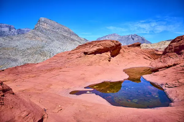 Nevada Red Rock Kanyonu 'nun görkemli güzelliğinin tadını çıkarın. Canlı kırmızı oluşumlar sakin sularla ve berrak gökyüzüyle buluşarak Turtlehead Tepesi yakınlarında sakin bir kaçış sunuyor. Seyahat ve doğa temaları için mükemmel.