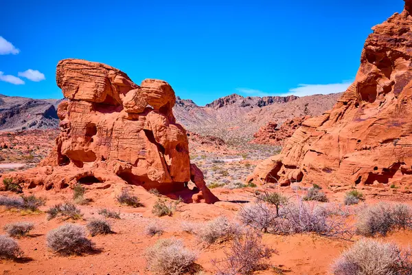 Nevada 'daki Fire State Park Vadisi' nde parlak mavi gökyüzünün altında görkemli kızıl kaya oluşumları. Nadir bulunan çöl bitkileri bu çarpıcı manzaranın ebedi güzelliğini ve dayanıklılığını vurgular..