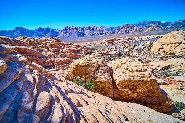 Nevada 'daki Red Rock Kanyonu' nun görkemli güzelliğini görün. Las Vegas yakınlarındaki macera ve doğa turizmi için mükemmel, berrak mavi gökyüzü altında engebeli kaya oluşumlarını ve canlı manzaraları keşfedin..
