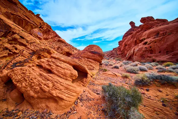 Boulder Citys Redstone Dune 'un nefes kesici güzelliğini tecrübe edin. Nevada Çölü 'nde maceranın doğayla buluştuğu canlı mavi gökyüzü altında canlı kumtaşı oluşumlarına hayret ediyorum..