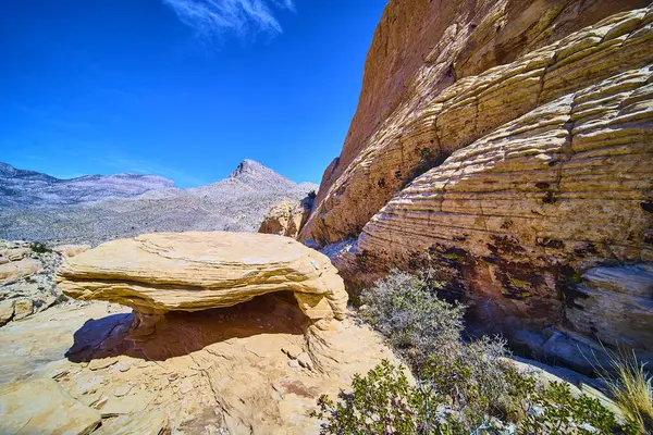 Görkemli kaya oluşumları, Kızıl Kaya Kanyonu, Nevada 'da canlı bir mavi gökyüzünün altında jeolojik harikalar ve çöl yaşamının esnekliğini gözler önüne seriyor. Macera teması için mükemmel.