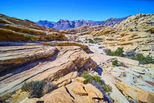 Las Vegas 'taki Red Rock Kanyonu' nun çarpıcı çöl manzarasını keşfedin. Görkemli katmanlı kaya oluşumları ve seyrek yeşillik açık mavi gökyüzüne çarpıcı bir kontrast oluşturur..