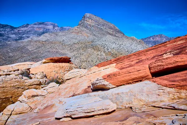 Nevada 'daki Red Rock Kanyonu' nun görkemli güzelliğini görün. Çarpıcı kumtaşı oluşumları ve canlı mavi gökyüzünün altındaki Kaplumbağa Kafa Tepesi. Seyahat ve doğa meraklıları için mükemmel..