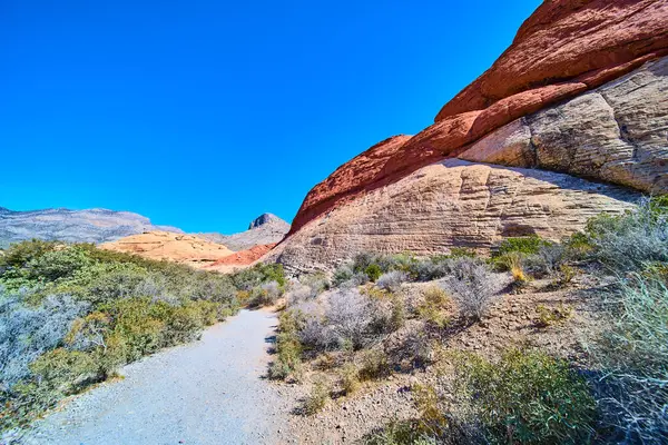 Las Vegas yakınlarındaki Kızıl Kaya Kanyonu 'nun büyüleyici güzelliğini keşfedin. Engebeli bir yol canlı kaya oluşumları ve çöl bitkilerinin arasından esiyor, berrak mavi gökyüzünün altında manzaralı bir yürüyüşe davet ediyor. Tam oldu.