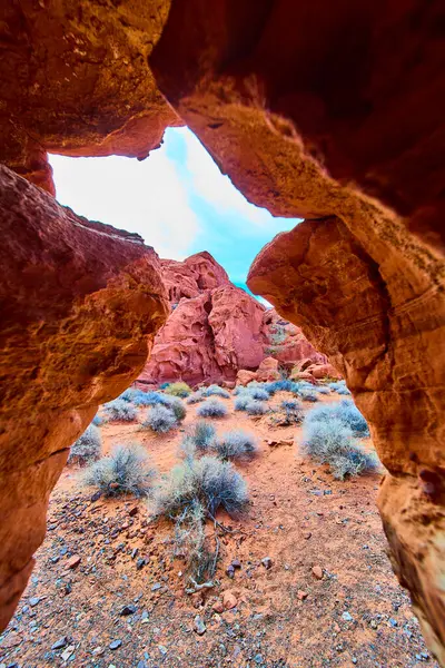 Nevada, Boulder City 'deki Redstone Dune' un engebeli güzelliğini keşfedin. Canlı kırmızı kaya oluşumlarına ve çöl bitkilerine bakan kayalık bir yarıktan bakmak, doğanın sanatsallığının ve esnekliğinin bir göstergesi..