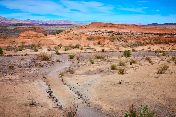 Baykuş Kanyonu 'nun engebeli güzelliğini keşfedin, Boulder City, Nevada' da, uçsuz bucaksız mavi gökyüzünün altında sarmal patikalar ve esnek bitkilerin yükselen kayalıklarla buluştuğu yerde. Macera ve koruma temaları için ideal.