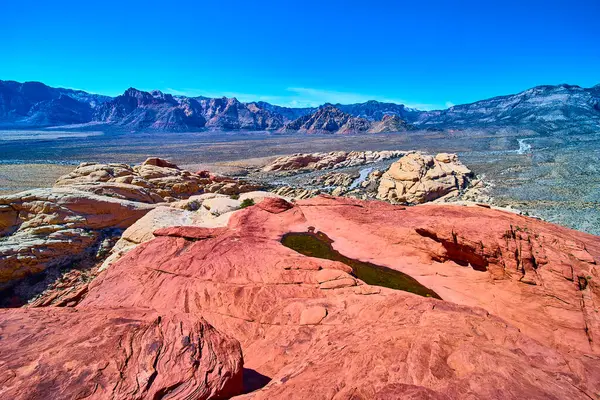 Nevada 'daki Kızıl Kaya Kanyonu' nun çarpıcı kırmızı kumtaşı oluşumlarını araştırın. Güneybatının maceraperest ruhunu somutlaştıran berrak mavi gökyüzünün altındaki canlı kayaların arasında küçük bir havuz bulunur..