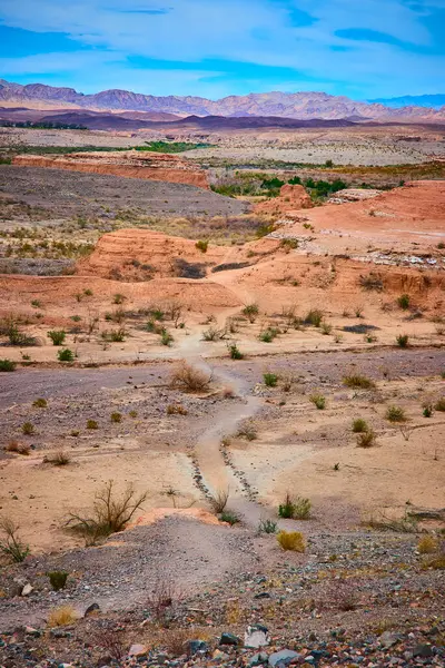 Nevada, Boulder City 'deki Baykuş Kanyonu' nun engebeli güzelliğini keşfedin. Sade çöl manzarasında dolambaçlı bir yol açık mavi gökyüzü ve uzak görkemli dağların altında keşif yapmaya davet eder..