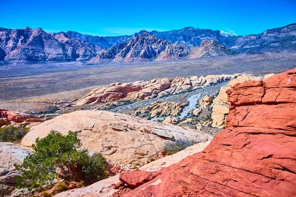 Kızıl Kaya Kanyonu, Nevada 'nın hayranlık uyandıran güzelliğini keşfedin. Canlı kırmızı ve bronz kaya oluşumları açık mavi gökyüzü ile buluşur. Bu çarpıcı çöl manzarasında macera ve keşif arz eder..