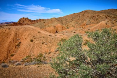 Nevada 'da Northshore Yolu boyunca nefes kesici çöl manzarası. Kırmızımsı, kahverengi tepeler ve berrak mavi gökyüzünün altında yeşil bir çalı kontrastı, Amerika 'nın huzurlu güzelliğini yakalıyor.