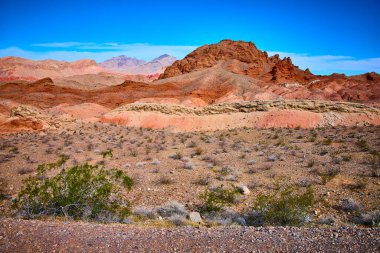 Nevadas Northshore Yolu 'nun çarpıcı kızıl kaya oluşumlarını araştırın. Bu nefes kesici çöl manzarası serüvenleri ve sergilenen doğaları berrak mavi gökyüzü altında esnekliği davet ediyor..