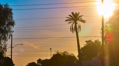 Altın güneş ışığı, Arizona 'nın sakin bir banliyösünü, yüksek bir palmiye ağacı ve elektrik hatlarının silueti gibi, gün batımında Phoenix' in ılık sükunetini canlı bir şehir sahnesinde yansıtıyor.