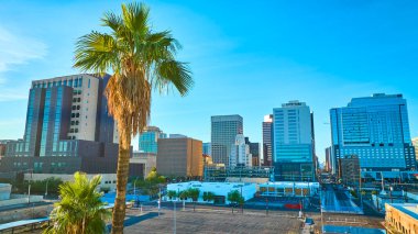Güneşli Phoenix şehir merkezi gökdelenleri, modern cam binalar ve ikonik palmiye ağaçları, Arizona 'nın canlı iş bölgesini ve havadan yayılan kentsel çöl vahasını vurguluyor.