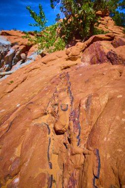 Gunlock State Park Utah 'ta koyu mineral damarlı kırmızı kumtaşı oluşumları Amerikan Güneybatı Çölü' nün dramatik güzelliğini ve dayanıklılığını gözler önüne seriyor.