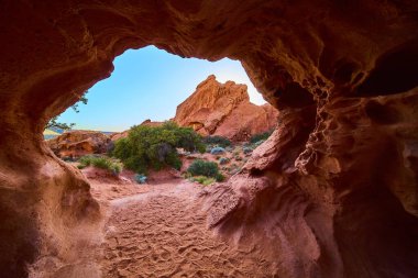 Utah 'taki Babil Kemeri' nden geçen güneş ışığı desenli kumtaşı duvarlar, yeşil çöl bitkileri ve macera ve keşif hissi için açık mavi gökyüzünün altında dramatik bir kaya oluşumu oluşturur..