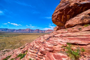 Calico Hills 'in dramatik kırmızı kumtaşı Las Vegas yakınlarındaki Red Rock Kanyonu' ndaki çöl vadisinde yükseliyor. Uzak dağlar ve Amerika 'nın vahşi güzelliğini gözler önüne seren engin mavi gökyüzü.