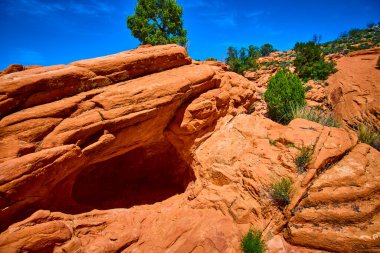 Güneş ışığı kırmızı kumtaşı oluşumları ve engebeli çöl bitkileri Gunlock State Park Utah 'taki bu çarpıcı manzarayı tanımlar. Amerika' nın güneybatısında macera yolculuğu ve doğa keşfi için mükemmel bir manzara.