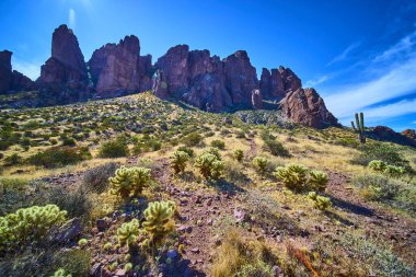 Kayıp Hollandalı Eyalet Parkı Arizona 'da, Cholla ve saguaro kaktüsünün üzerindeki engebeli Superstition Dağları kulesi. Parlak mavi gökyüzü ve altın çöl otları Amerika 'nın güneybatısının vahşi güzelliğini vurguluyor..