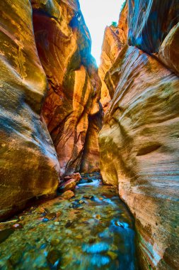Gün ışığı Utah 'taki Kanarra kanyonuna akar. Canlı kumtaşı duvarlarını aydınlatır. Kayalık zemin boyunca esen temiz bir nehir gibi doğal güzellik ve macera manzarası yaratır..