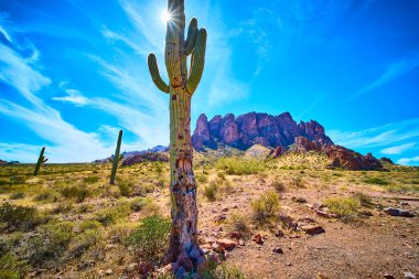 Kuledeki saguaro kaktüsü Arizona 'daki Kayıp Hollandalı Eyalet Parkı' nda duruyor. Arkasında parlak mavi gökyüzünün altında yükselen güneş ve Batıl inançlar var.