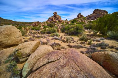 Arizona çölünden yükselen engebeli kayalar Amerika 'nın güneybatısının yabani güzelliğini gözler önüne seren kaktüsler ve güneşli çalılarla çevrilidir.