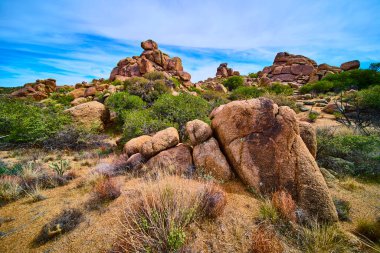 Devasa yıpranmış kayalar, dayanıklı kaktüsler ve Amerika 'nın güneybatısındaki canlı mavi gökyüzünün altında kuru otlarla dolu engebeli çöl manzarası macera ve vahşi doğa teması için idealdir..