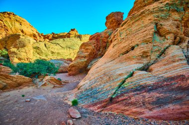 Utah Kasırgası 'ndaki Babil Kemeri' nde berrak mavi bir gökyüzü altında canlı çizgili kumtaşı oluşumları ve dirençli çöl bitkileri Amerikan Güneybatı vahşi doğasının saf güzelliğini ve macerasını yakalar..