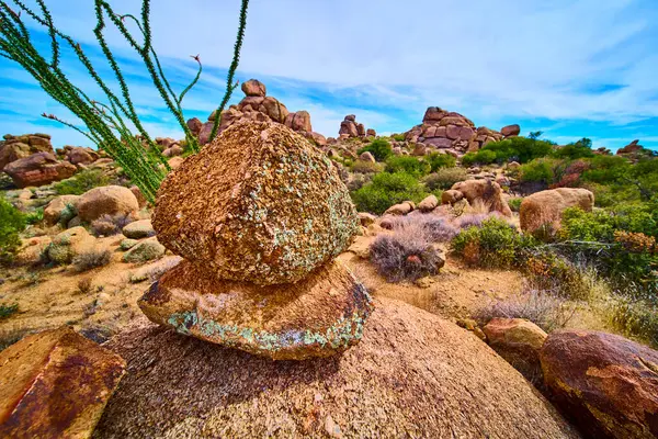 Arizona çölünde, engebeli kaya oluşumlarıyla çevrili Ocotillo kaktüsünün yanında duran ve güneybatı vahşi doğasının esnek güzelliğini yansıtan yıpranmış kaya parçası.