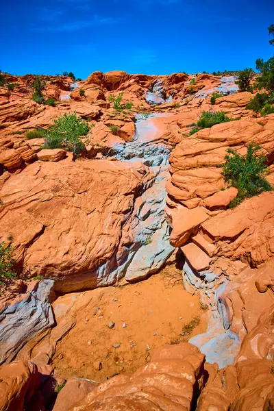 Gunlock State Park Utah 'taki açık mavi gökyüzü altında sert çöl bitkilerinin üzerinde canlı kırmızı kumtaşı oluşumları yükseliyor. Amerikan Güneybatı manzarasının saf güzelliğini ve macerasını yakalıyorlar.