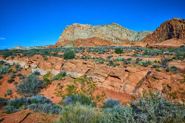 Utah Kasırgası 'ndaki Babil Kemeri' nde açık mavi gökyüzünün altında, katmanlı kırmızı kayaların ve dayanıklı çöl bitkilerinin üzerinde yükselen engebeli kumtaşı kayalıkları, Amerika 'nın güneybatısının güzelliğini ve enginliğini gözler önüne seriyor..
