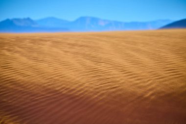 Utah Kasırgası 'ndaki Sand Hollow Eyalet Parkı boyunca uzanan altın kum tepecikleri güneş ışığıyla narin dalgalar ve açık mavi gökyüzünün altındaki uzak dağ sıraları yalnızlığı ve merakı çağrıştırıyor.
